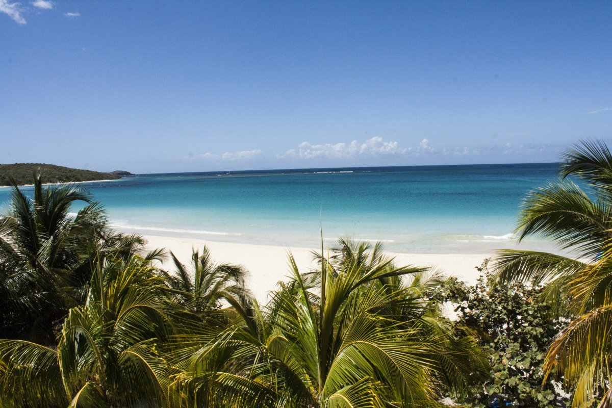 White sand and clear water at Flamenco Beach on the island of Culebra.
