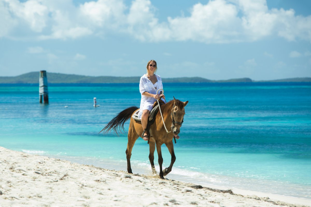 A woman rides a handsome brown horse along a white sand beach with bright blue water in the background