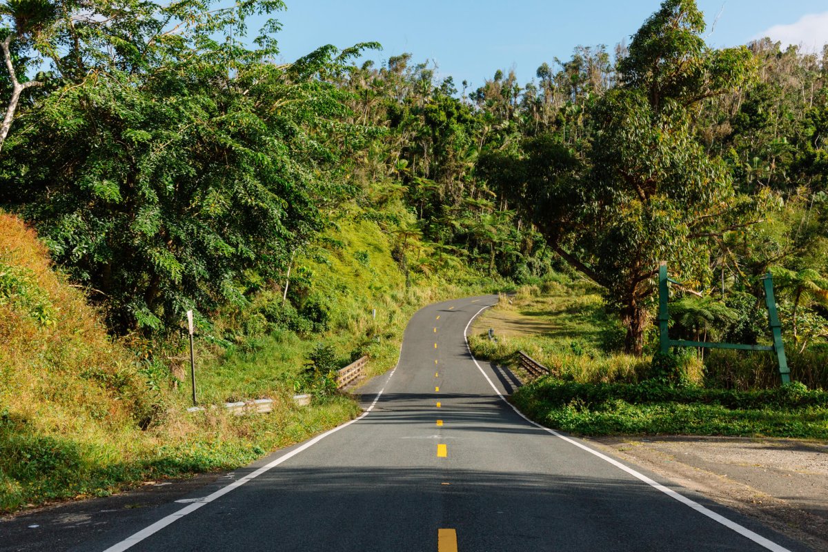 The journey to Charco Azul is as stunning as the destination. 