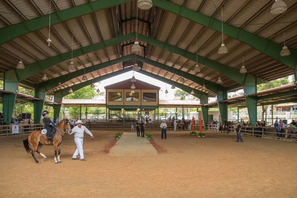 People riding horses at the Family Equestrian Park 