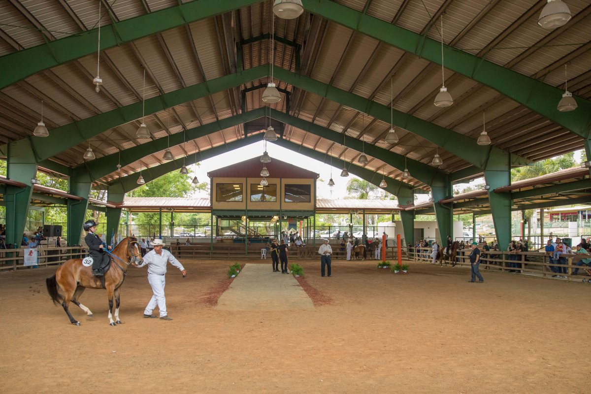 People riding horses at the Family Equestrian Park