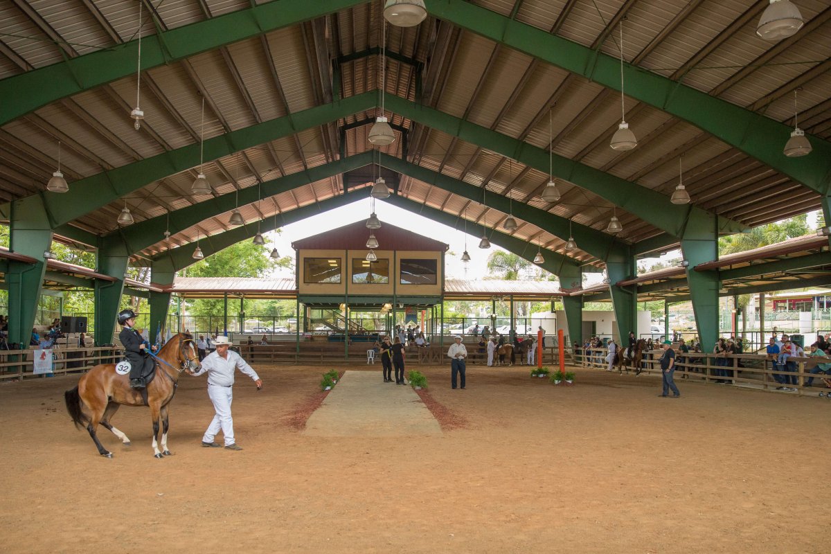 Gente montando a caballo en el Family Equestrian Park.