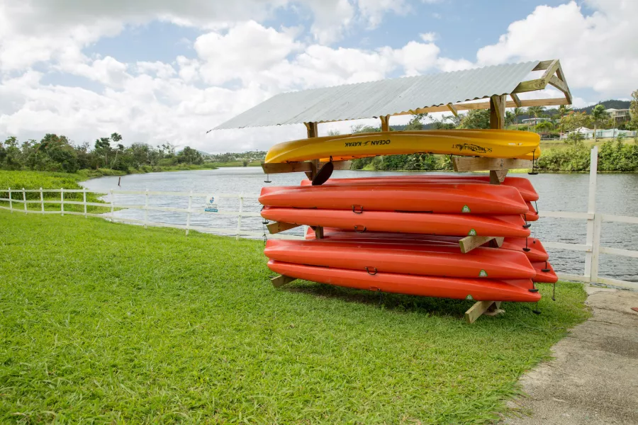 Kayaks line the shore at Paradise Paddle PR