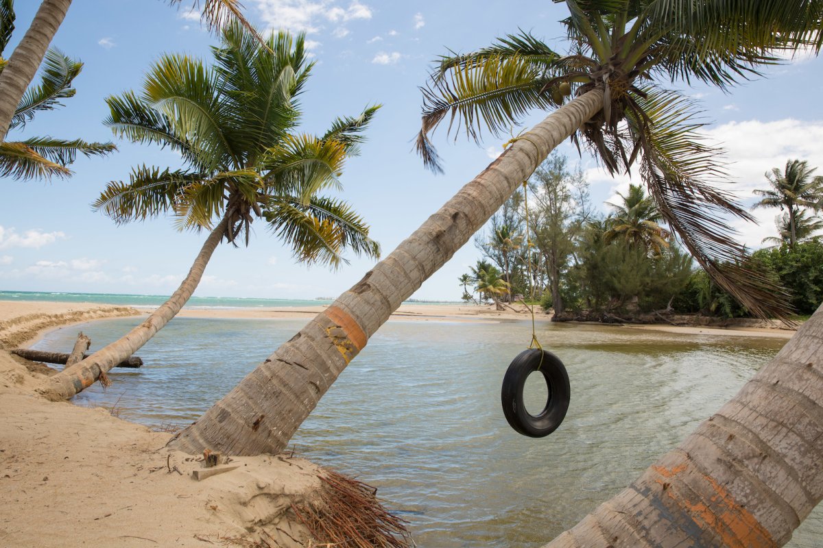 A rope swing hangs into the ocean in Loiza.