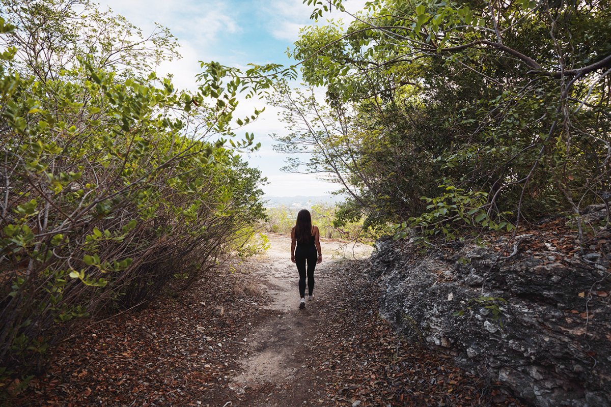 A woman walks one of the Guanica's Dry Forest trials. 