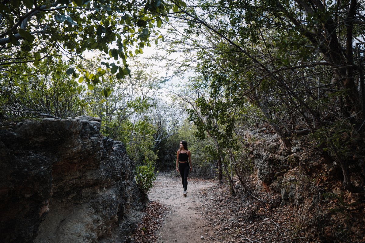Hiking trail at Guánica Dry Forest.