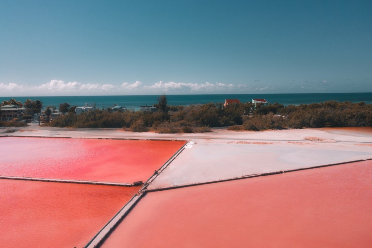 Vista de las salinas de Cabo Rojo.