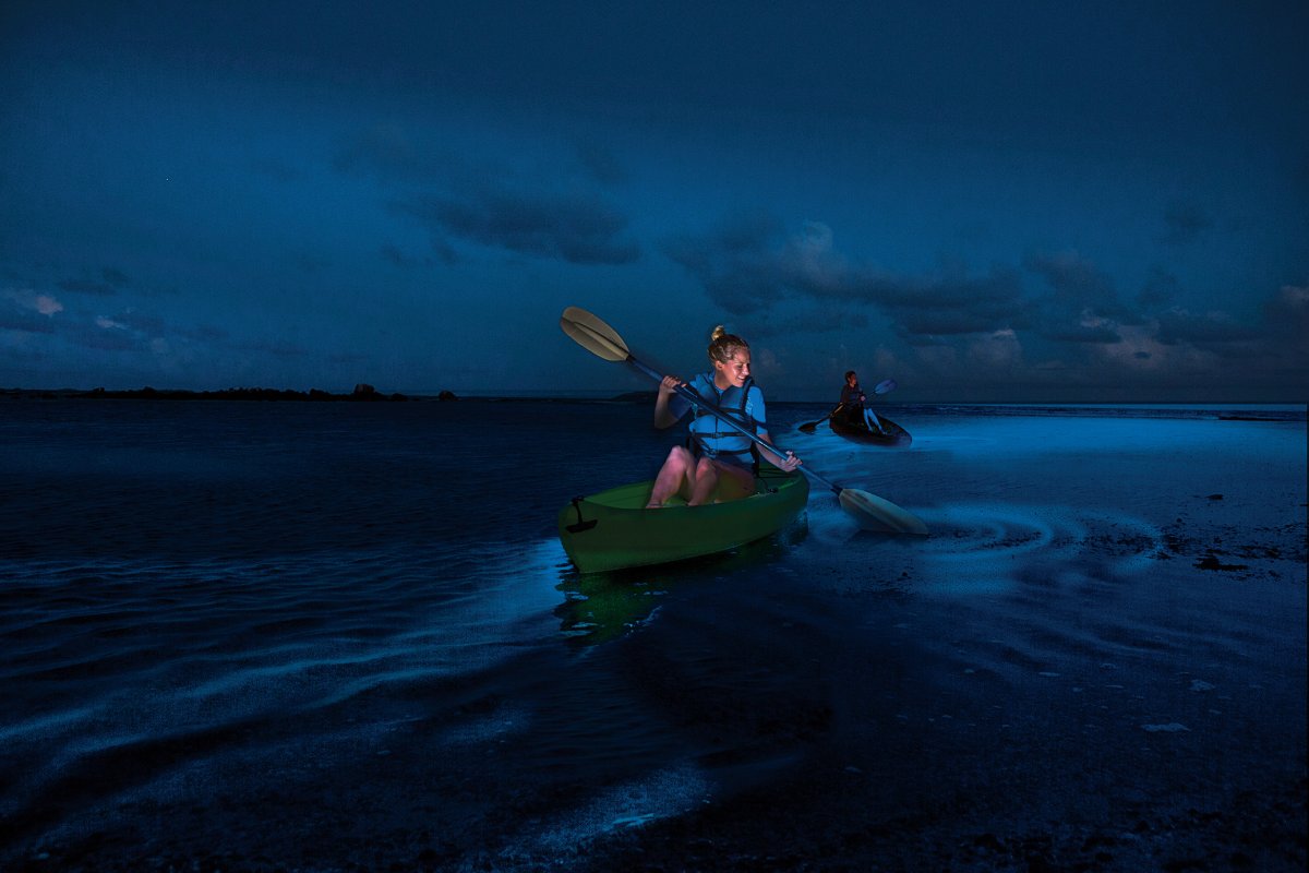 Navega en kayak y experimenta la bahía bioluminiscente en la Reserva Natural de Laguna Grande en Fajardo.