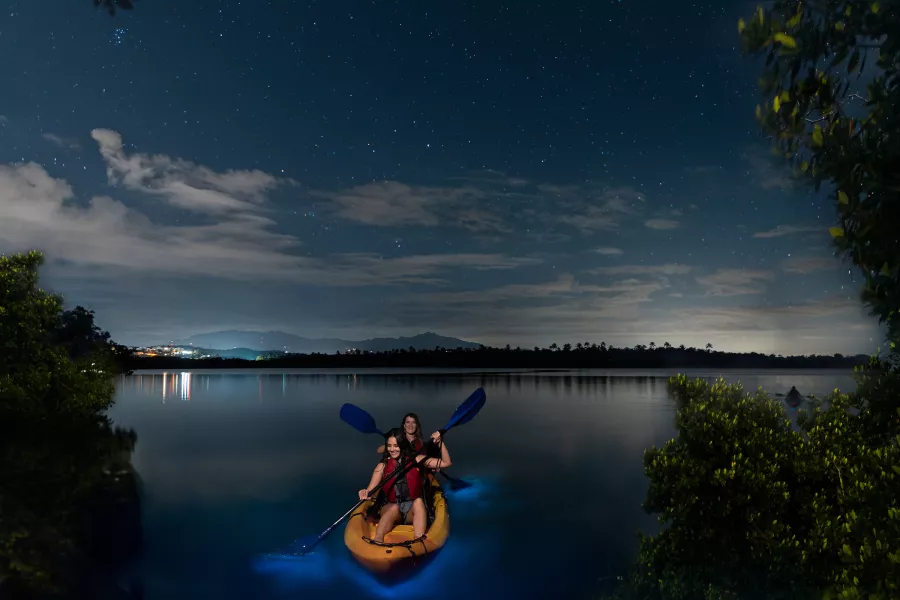 Kayakers gliding through the glowing waters of Mosquito Bay, one of the best things to do in Vieques.