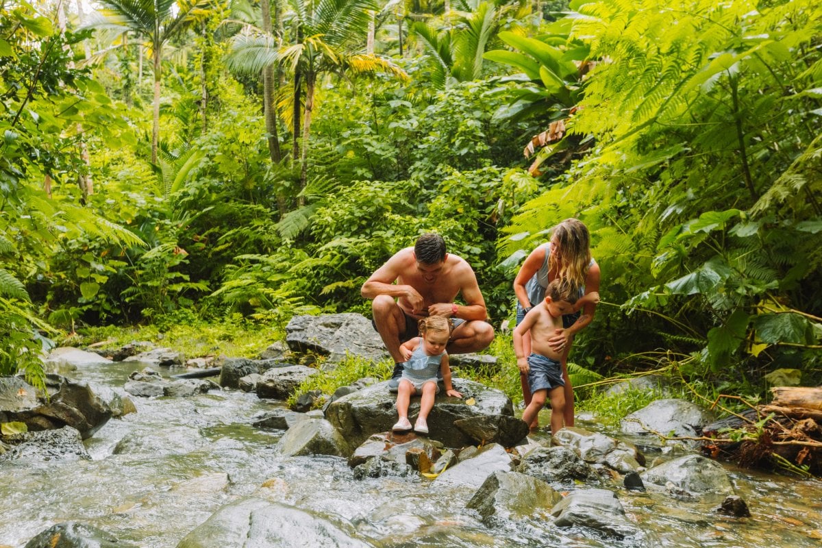 Lush hiking path surrounded by tropical greenery on an El Yunque trail.