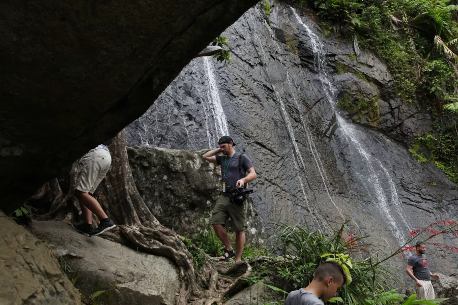La Coca Falls cascading through the rainforest, a must-see stop on El Yunque hikes.