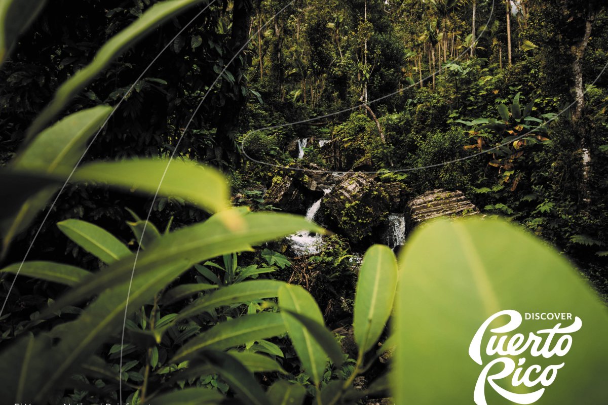 El Yunque Puzzle