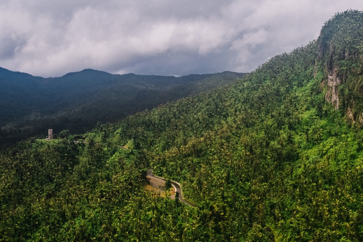 El Yunque Rainforest, Río Grande. 