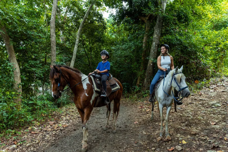 Campo Rico horseback riding