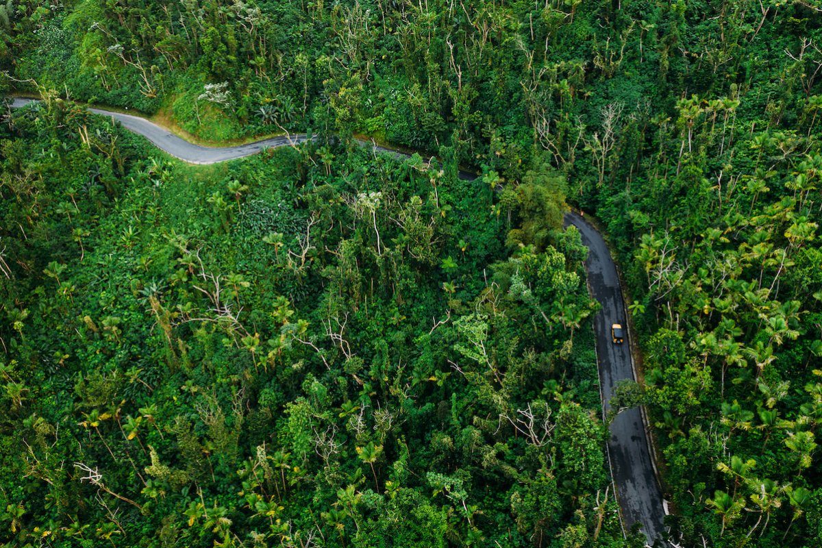 A roadtrip to El Yunque.