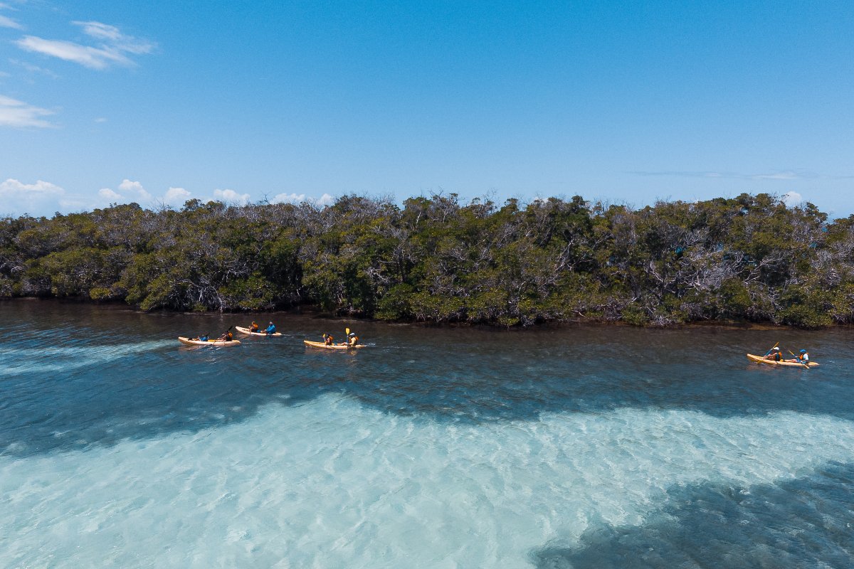 Kayaking in La Parguera, Lajas.