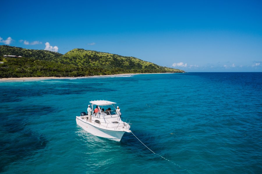 Spend the day on a boat fishing