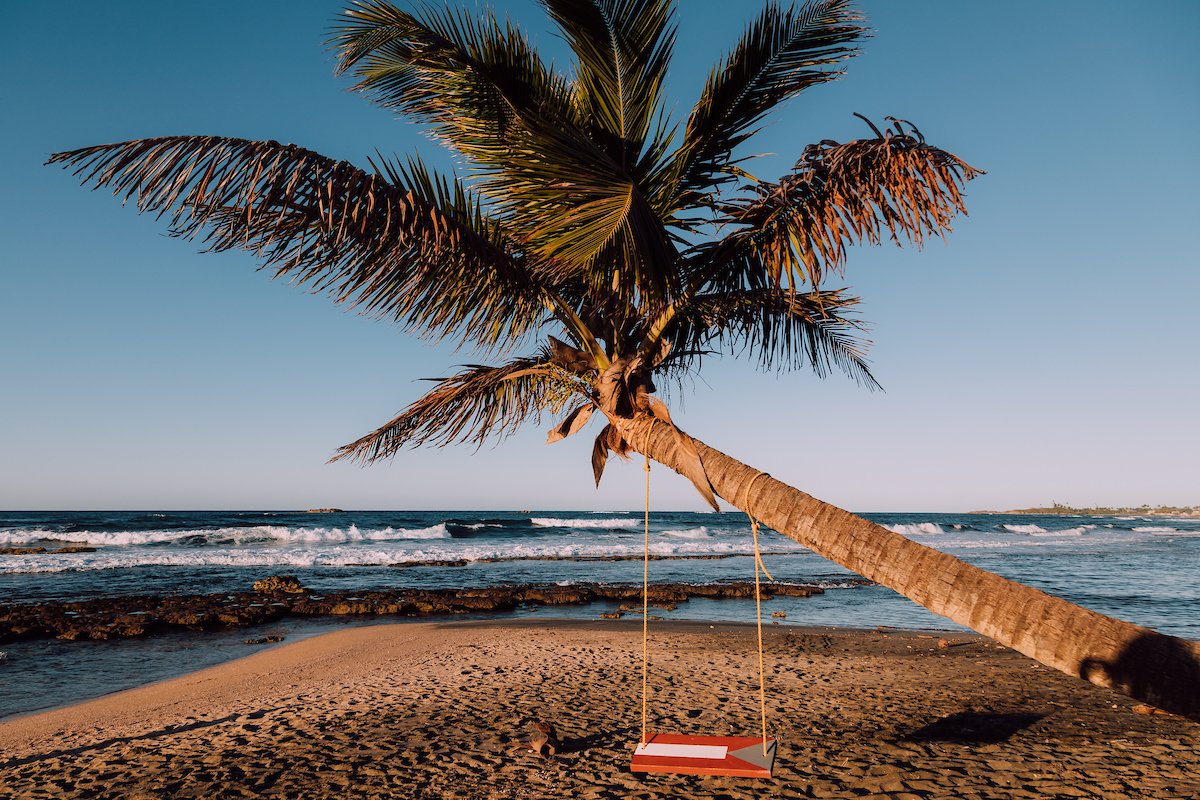 A swing painted with the Puerto Rican flag hangs from a palm tree at the beach