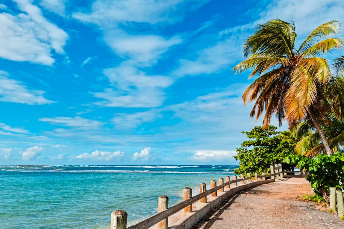 Boardwalk along a sky-blue beach with palm trees on its right side. 