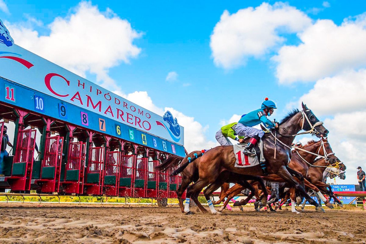 The Hipódromo Camarero is the center of horse racing in Puerto Rico.