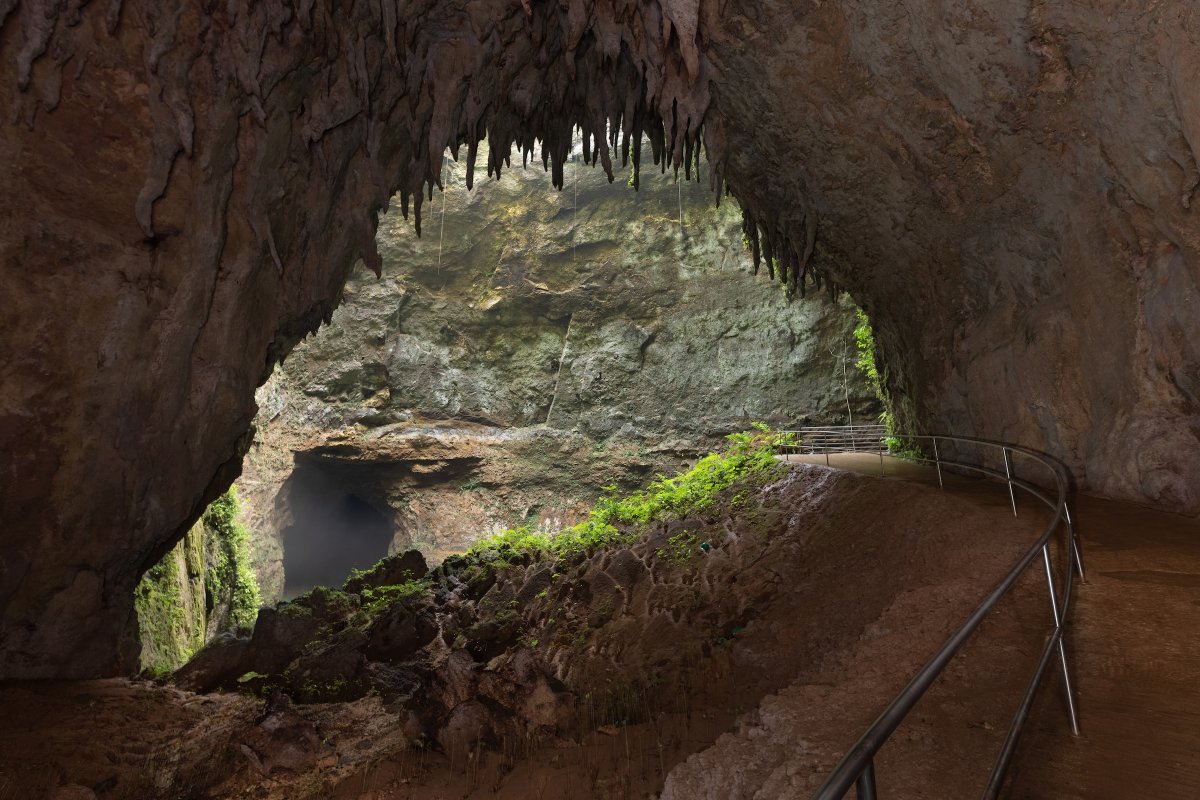 View of a cavern at the Rio Camuy Cave Park in Puerto Rico.