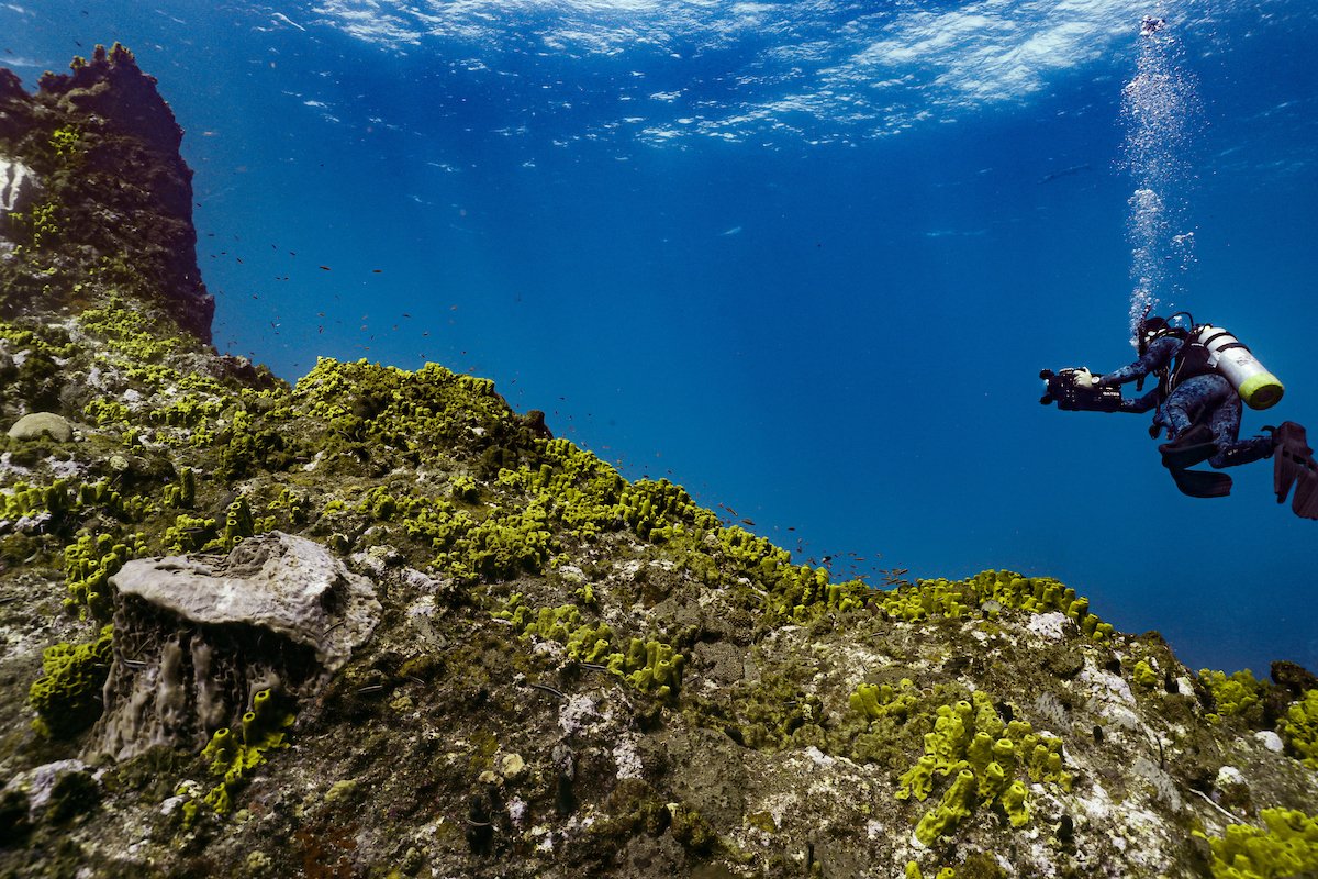 Underwater view of a scuba diver in Mona Island.