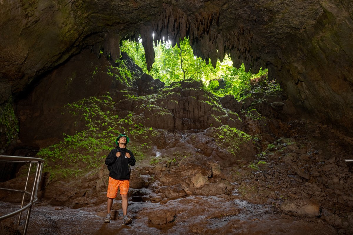 Cavernas del Río Camuy