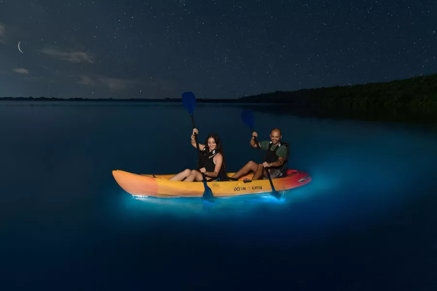 Kayakers paddling through Laguna Grande, a bioluminescent bay in Fajardo, Puerto Rico