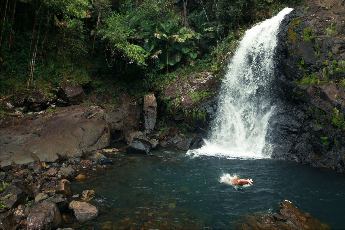 A swimmer dives into a waterfall pool at El Yunque National Forest