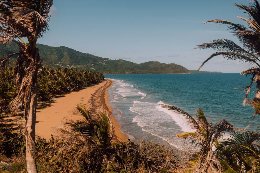 Una amplia vista de una playa en Puerto Rico enmarcada por palmeras y con montañas en el fondo.