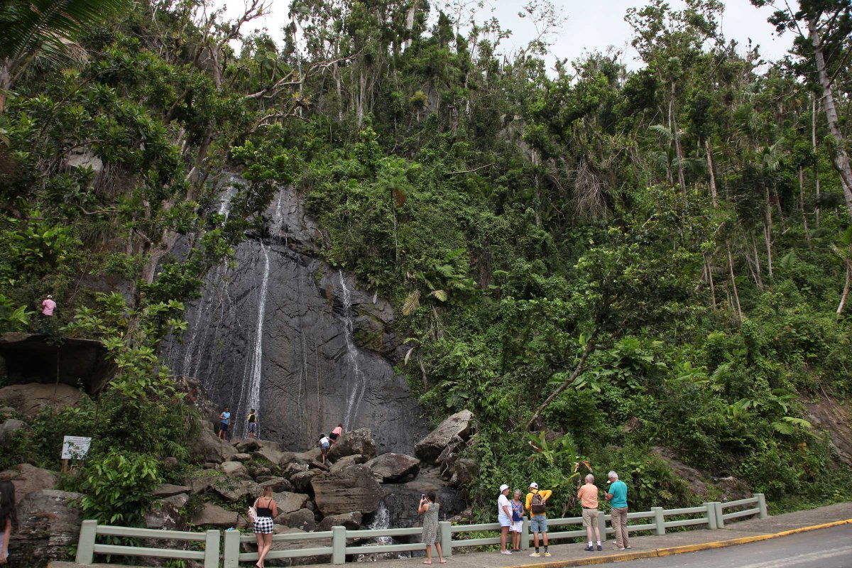 People line the road near La Coca waterfall, a popular place to hike at El Yunque National Forest in Puerto Rico.