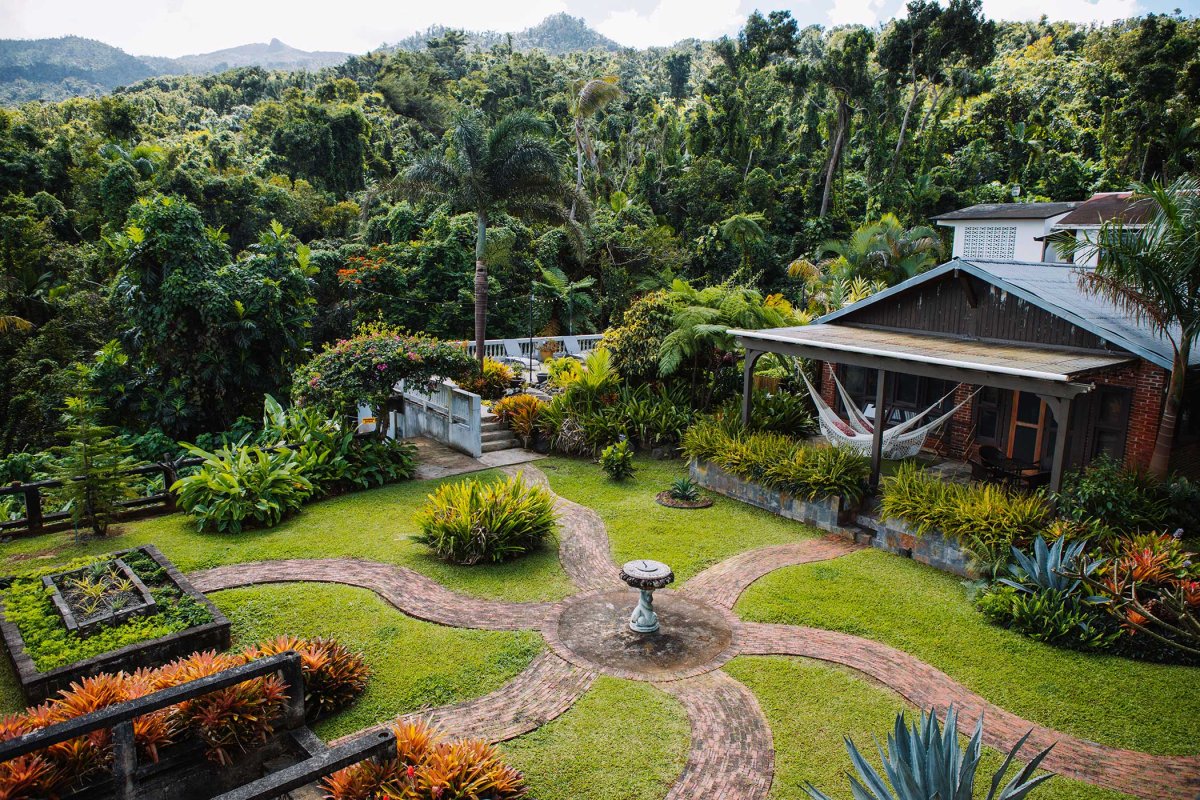 Overhead shot of the Rainforest Inn, a Puerto Rican small inn nestled at the foot of the mountains.