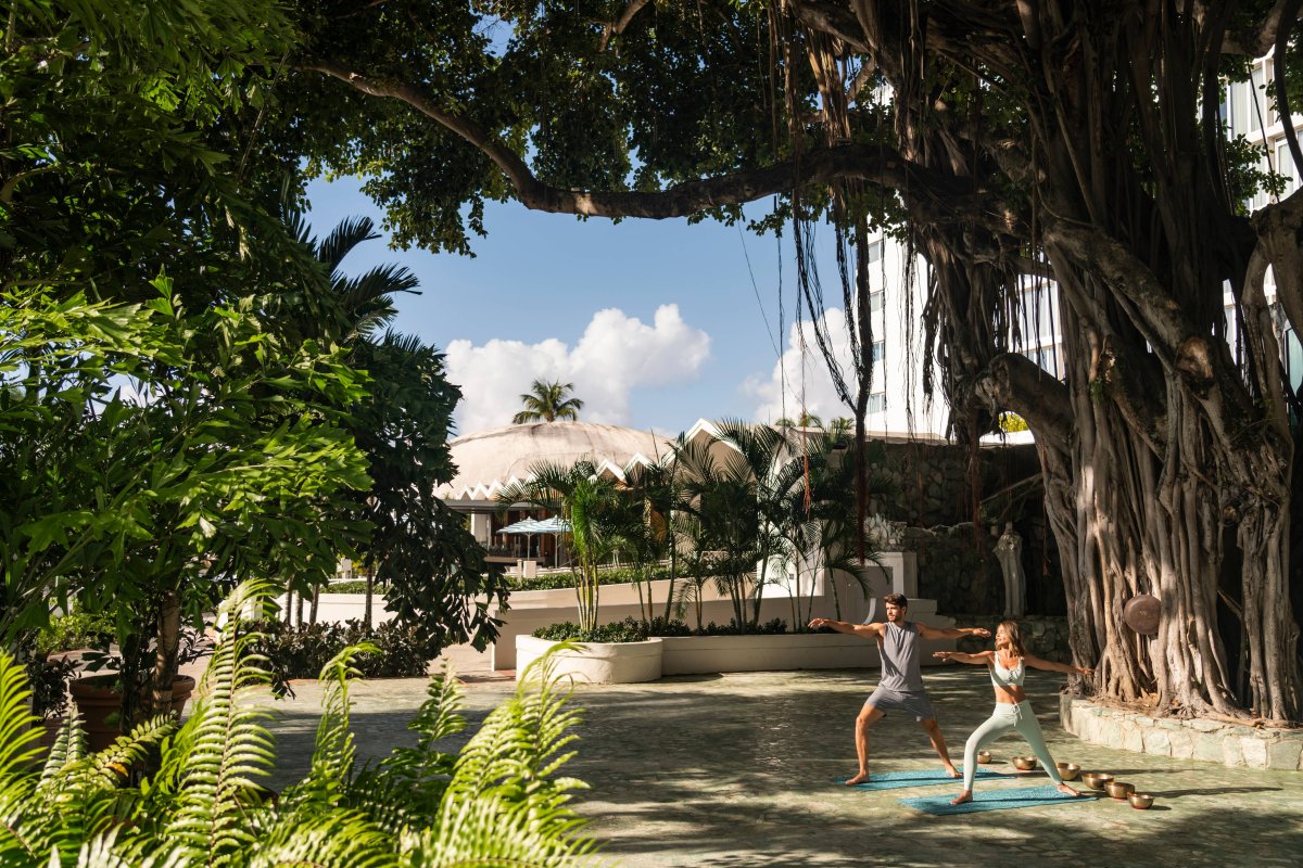 Couple doing yoga under a banyan tree.
