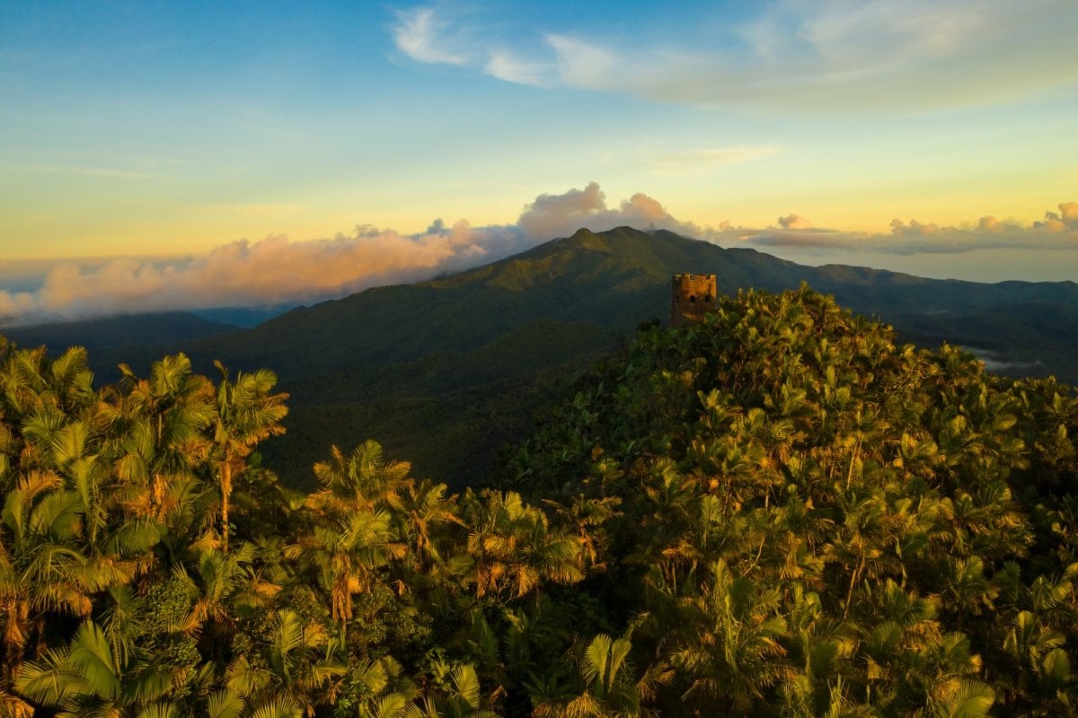 Lush green mountains of El Yunque Rainforest with Mount Britton Tower under blue skies.