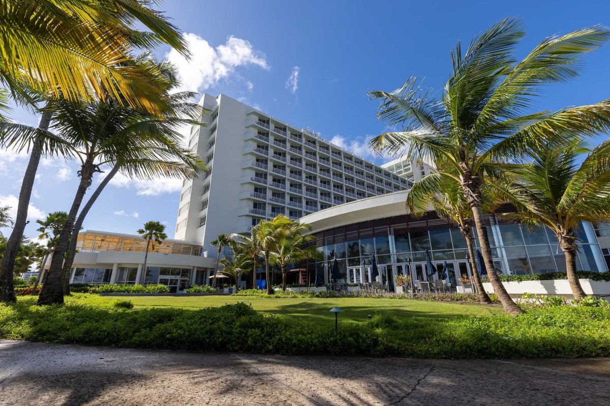 Exterior of the Caribe Hilton hotel with palm trees in the foreground.