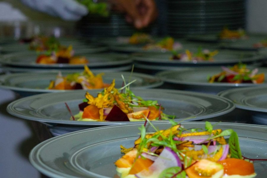 Close up of several plates of salad, with a person's hand applying seasoning