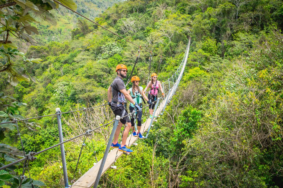 view of the bridges leading to ziplines in Toro Verde