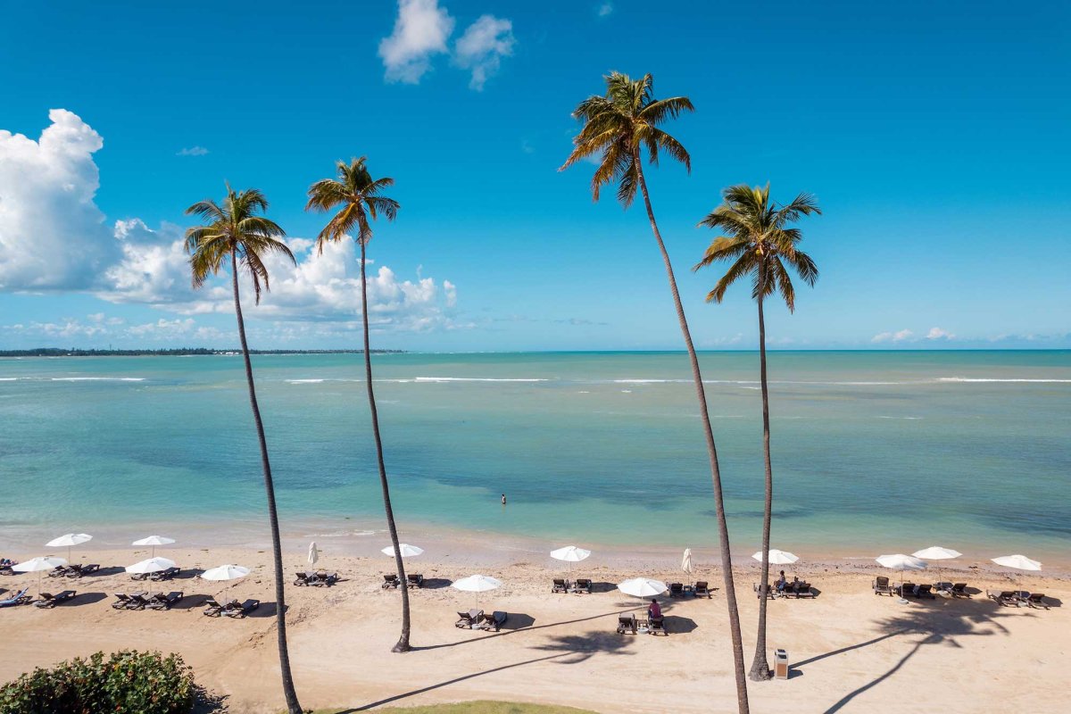 A beautiful beach with four tall palm trees and beach cabanas at Hyatt Regency Grand Reserve, Río Grande, Puerto Rico.