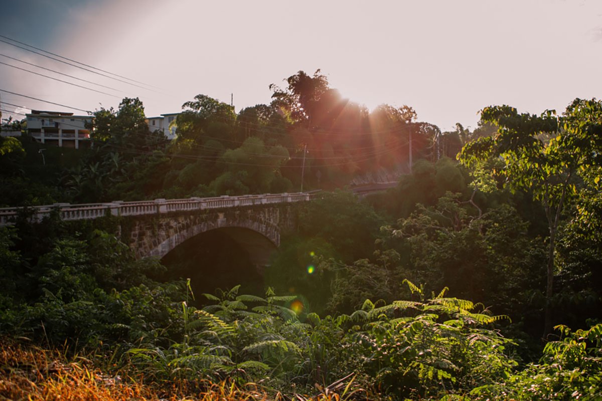 A view of Puente de Mavilla, an early 20th century stone bridge, in the lush landscape of Corozal, Puerto Rico.