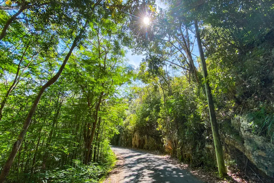 Bosque Estatal de Guajataca