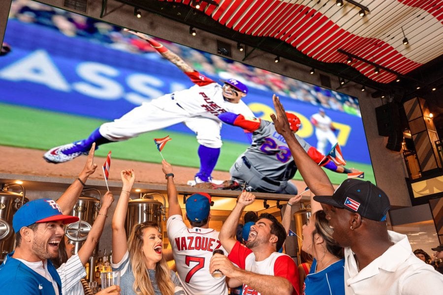 People cheering on a baseball game