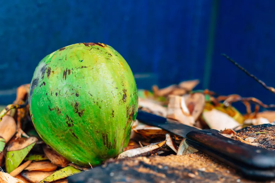 Whole coconut.