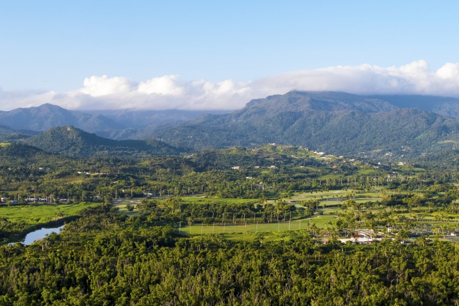 Breathtaking views of the central mountains – the heart of Puerto Rico’s natural beauty.