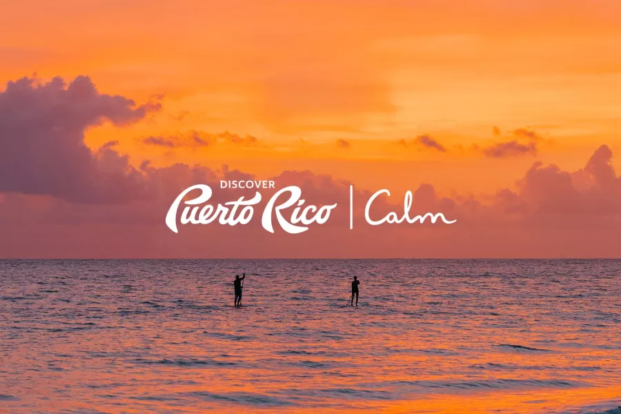 Calm x DPR
