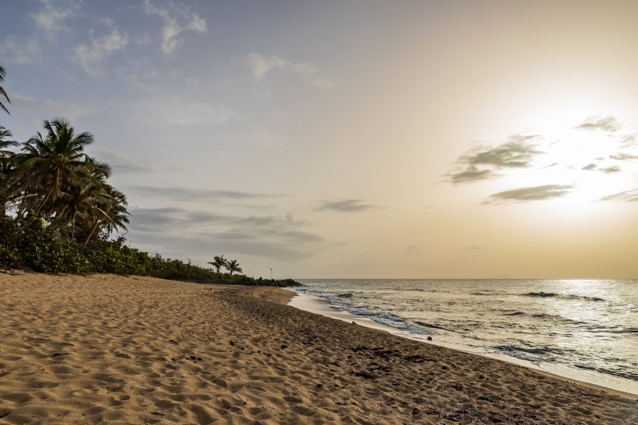 Las Marías Beach - Rincón