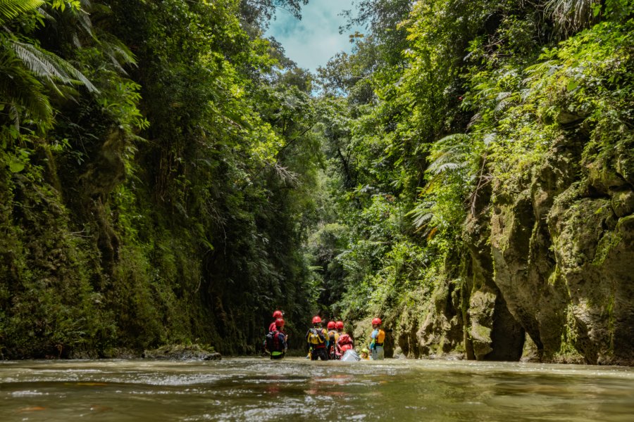Tanamá River