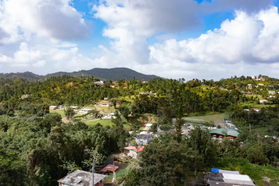 Cayey