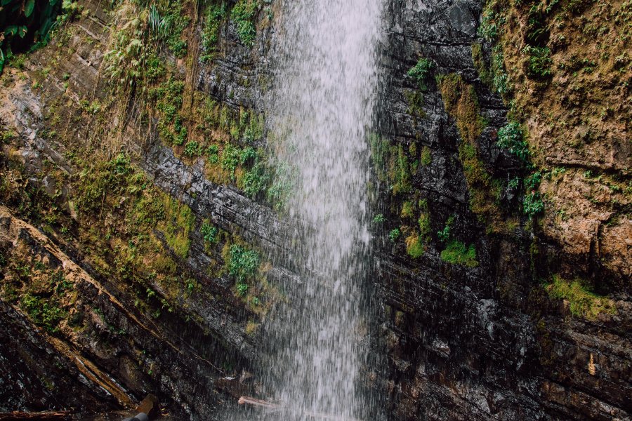 El Yunque
