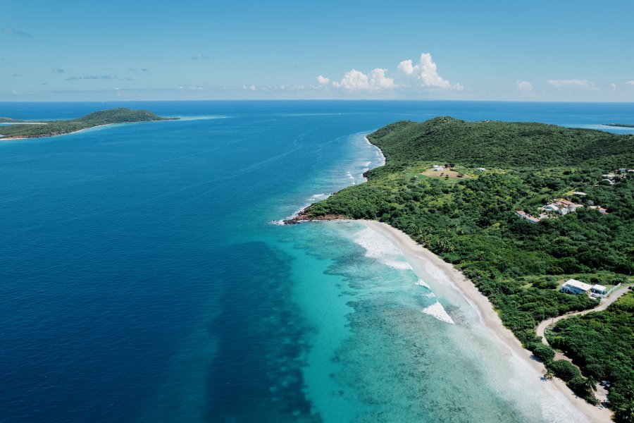 Vieques