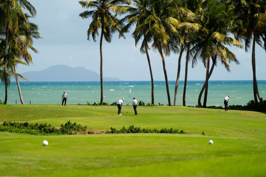 Golfers playing on a lush green golf course at Palmas del Mar in Humacao, Puerto Rico, with palm trees and the ocean in the background.